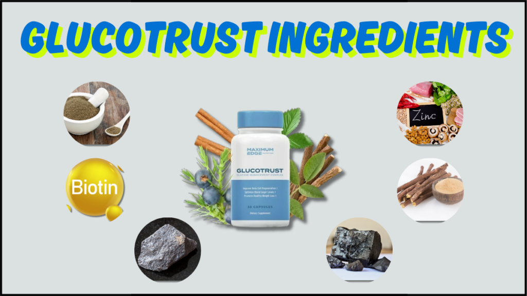 GlucoTrust Official: A Natural Supplement for Healthy Blood Sugar Levels 5 glucotrust ingredients