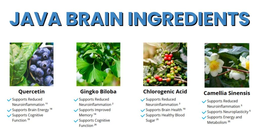 java brain ingredients