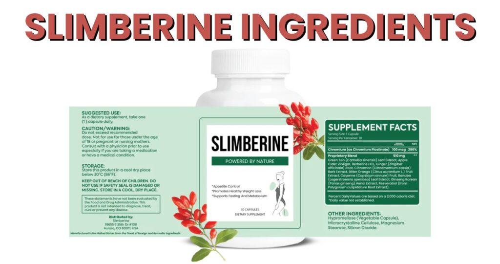 SlimBerine Review – How I Lost Weight, Gained Energy, and Got My Confidence Back 4 slimberine ingredients