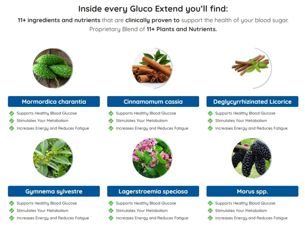 Gluco Extend Review: Can It Really Help You Control Blood Sugar Naturally? 6 gluco extend ingredients
