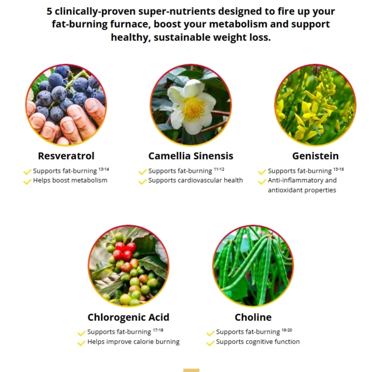 hepatoburn review ingredients